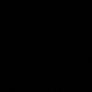 Meet your Posher, Ava